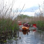 phoca_thumb_l_DSC_0020_M