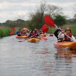 phoca_thumb_l_DSC_0043_M