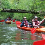 phoca_thumb_l_DSC_0127_M