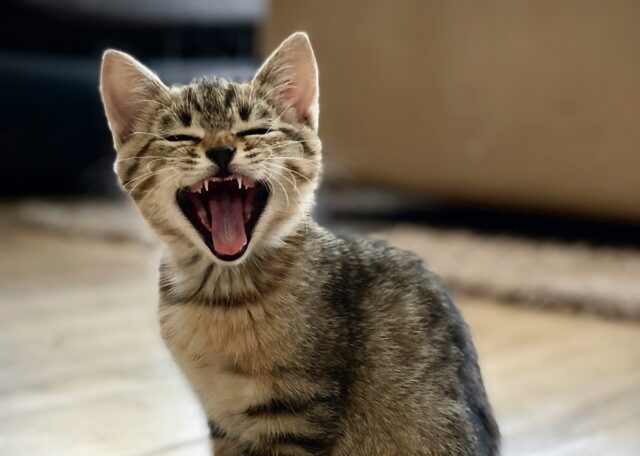 loan-7aide8prva0-unsplash