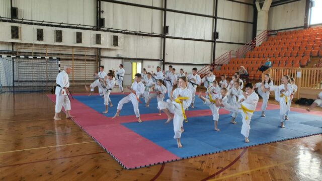 Resized_20230617_112543