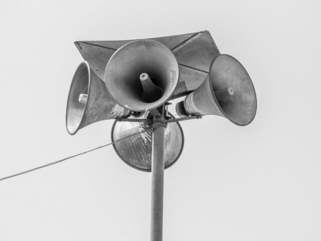 pexels-aboodi-12404226