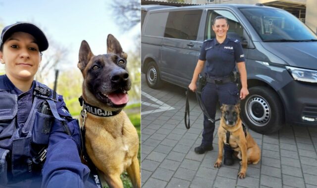 483697022_949390990732626_7138728788713965273_n-side