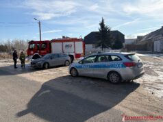 Strażacy i policjanci szukali rannego ptaka