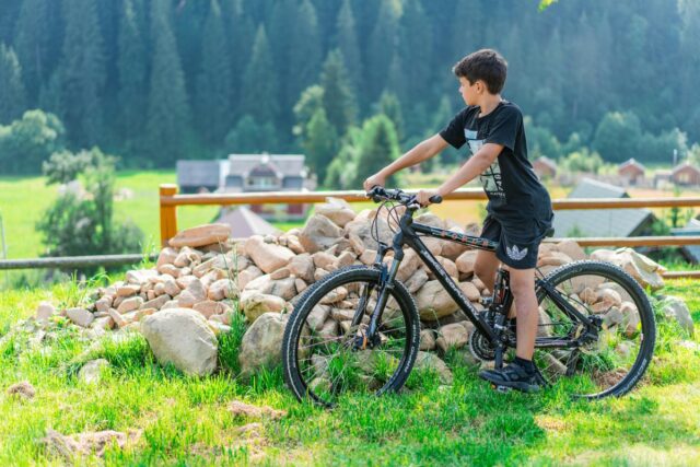 pexels-freestockpro-12932203