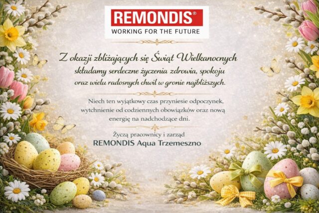 remondis2