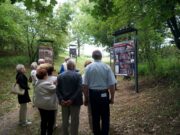 W Kociniu powstała ścieżka edukacyjna. Przybliża tragiczne wydarzenia z 1939 roku.