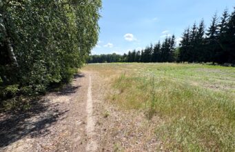Działki budowlane na sprzedaż w Zieleniu – 5 minut od Trzemeszna.