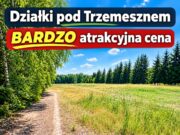 Działki budowlane na sprzedaż w Zieleniu. Coraz mniej dostępnych!
