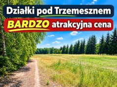 Działki budowlane na sprzedaż w Zieleniu. Coraz mniej dostępnych!