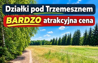 Działki budowlane na sprzedaż w Zieleniu. Coraz mniej dostępnych!