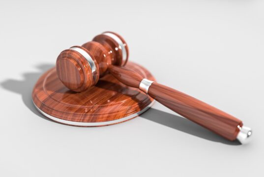 62-latek stanie przed sądem w sprawie zabicia jastrzębia